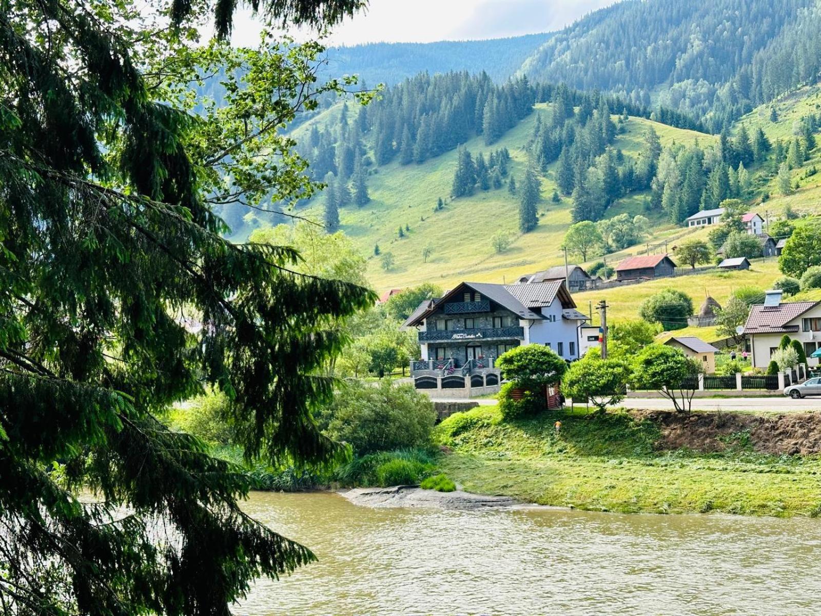Отель Piatra Codrilor Дорна Арини Экстерьер фото